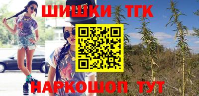 крисы Тулун