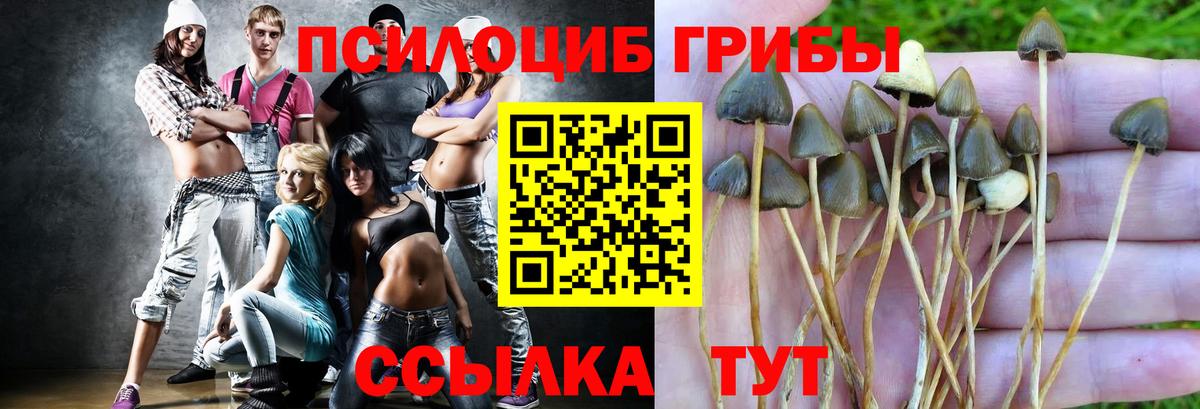 Псилоцибиновые грибы мухоморы  Вход с VPN  Нижний Тагил  Галлюциногенные грибы Psilocybine cubensis 